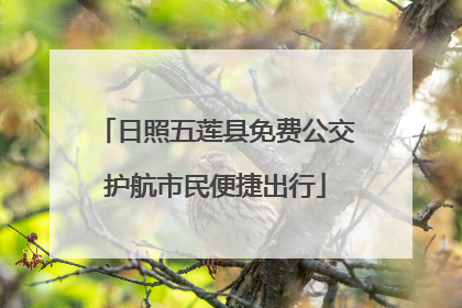 日照五莲县免费公交护航市民便捷出行