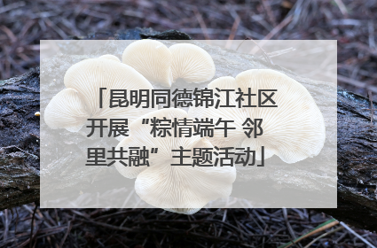 昆明同德锦江社区开展“粽情端午 邻里共融”主题活动