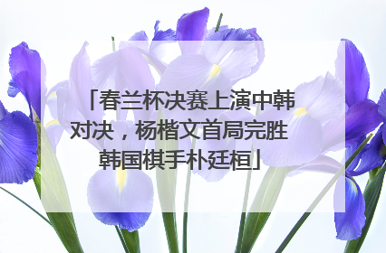 春兰杯决赛上演中韩对决，杨楷文首局完胜韩国棋手朴廷桓