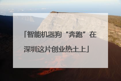 智能机器狗“奔跑”在深圳这片创业热土上