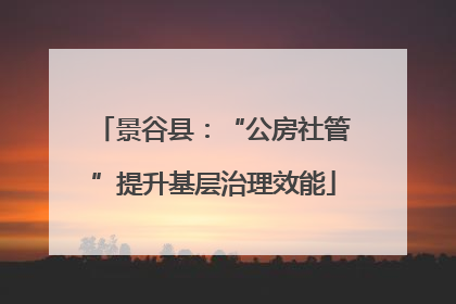 景谷县：“公房社管”提升基层治理效能