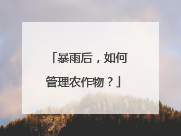 暴雨后，如何管理农作物？