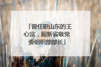 曾任职山东的王心富，履新省级党委组织部部长