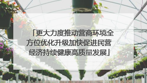 更大力度推动营商环境全方位优化升级加快促进民营经济持续健康高质量发展