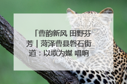 曹韵新风 田野芬芳｜菏泽曹县磐石街道：以歌为媒 唱响乡土“新歌声”