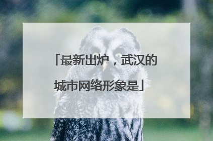 最新出炉，武汉的城市网络形象是