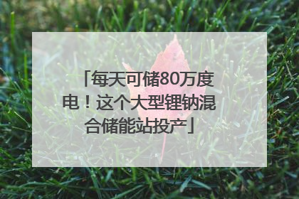 每天可储80万度电！这个大型锂钠混合储能站投产