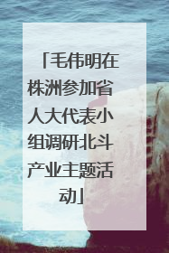 毛伟明在株洲参加省人大代表小组调研北斗产业主题活动