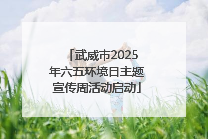 武威市2025年六五环境日主题宣传周活动启动