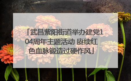 武昌紫阳街道举办建党104周年主题活动 赓续红色血脉锻造过硬作风