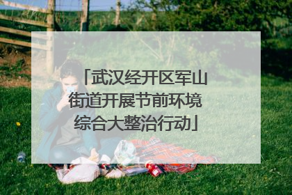 武汉经开区军山街道开展节前环境综合大整治行动