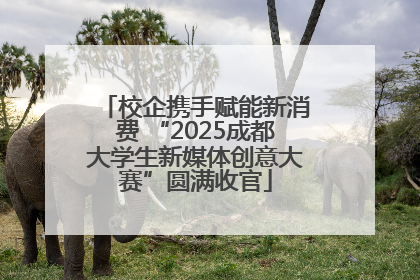 校企携手赋能新消费 “2025成都大学生新媒体创意大赛”圆满收官