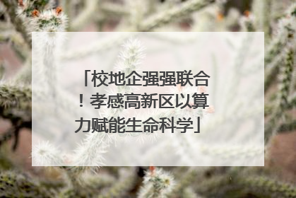 校地企强强联合！孝感高新区以算力赋能生命科学