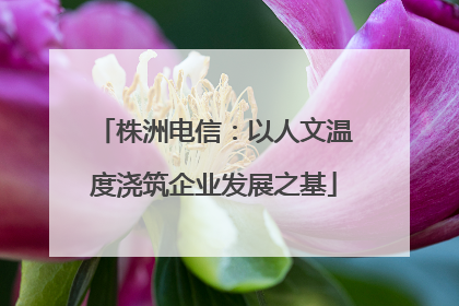 株洲电信：以人文温度浇筑企业发展之基