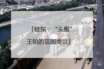 桂东：“头雁”王镇的蓝图美景