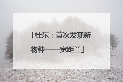 桂东：首次发现新物种——宽距兰