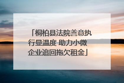 桐柏县法院善意执行显温度 助力小微企业追回拖欠租金