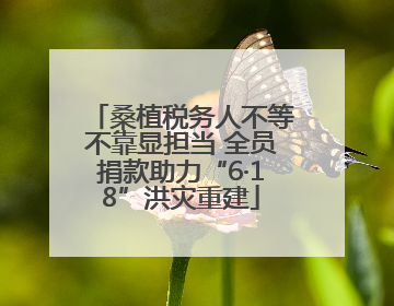 桑植税务人不等不靠显担当 全员捐款助力“6·18”洪灾重建