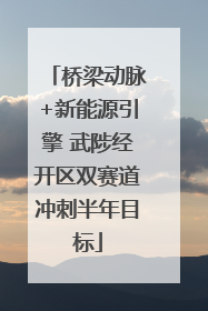 桥梁动脉+新能源引擎 武陟经开区双赛道冲刺半年目标