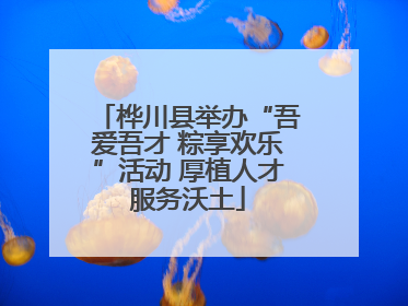 桦川县举办“吾爱吾才 粽享欢乐”活动 厚植人才服务沃土