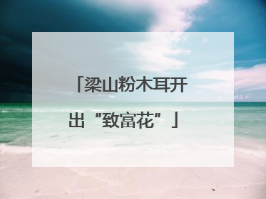 梁山粉木耳开出“致富花”