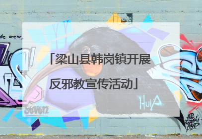 梁山县韩岗镇开展反邪教宣传活动