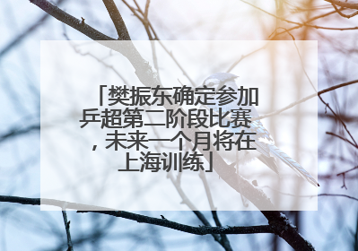 樊振东确定参加乒超第二阶段比赛，未来一个月将在上海训练