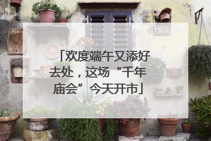 欢度端午又添好去处，这场“千年庙会”今天开市