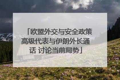 欧盟外交与安全政策高级代表与伊朗外长通话 讨论当前局势