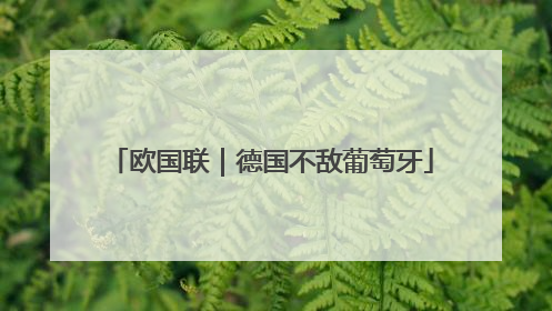 欧国联｜德国不敌葡萄牙