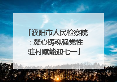 濮阳市人民检察院：凝心铸魂强党性 驻村赋能迎七一