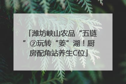 潍坊峡山农品“五链”②玩转“姜”湖！厨房配角站养生C位