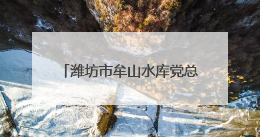 潍坊市牟山水库党总支：科学调配水资源 保障区域供水安全