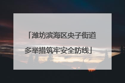 潍坊滨海区央子街道多举措筑牢安全防线