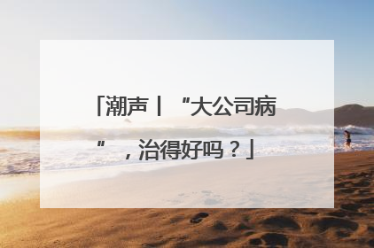 潮声丨“大公司病”，治得好吗？