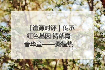 澧源时评｜传承红色基因 铸就青春华章——桑植热土上的青春长征