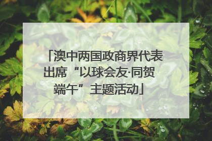 澳中两国政商界代表出席“以球会友·同贺端午”主题活动