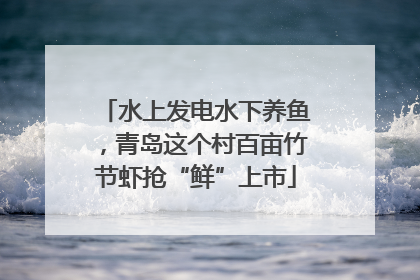 水上发电水下养鱼，青岛这个村百亩竹节虾抢“鲜”上市