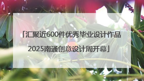 汇聚近600件优秀毕业设计作品 2025南通创意设计周开幕