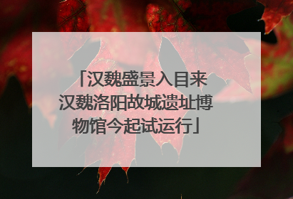 汉魏盛景入目来 汉魏洛阳故城遗址博物馆今起试运行
