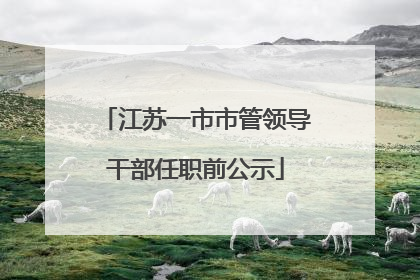 江苏一市市管领导干部任职前公示