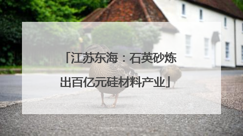 江苏东海：石英砂炼出百亿元硅材料产业