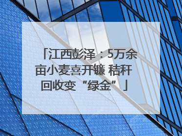 江西彭泽：5万余亩小麦喜开镰 秸秆回收变“绿金”