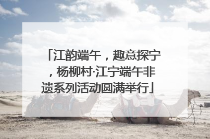 江韵端午，趣意探宁，杨柳村·江宁端午非遗系列活动圆满举行