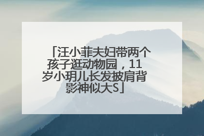 汪小菲夫妇带两个孩子逛动物园，11岁小玥儿长发披肩背影神似大S