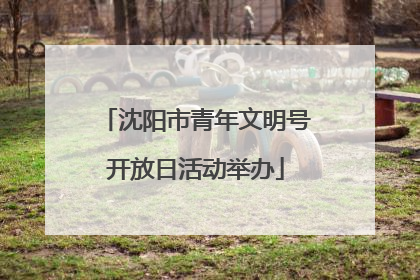 沈阳市青年文明号开放日活动举办