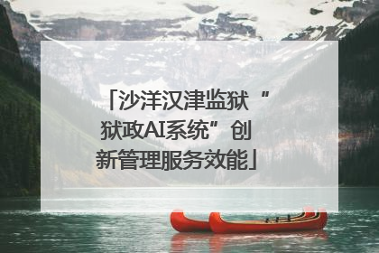 沙洋汉津监狱“狱政AI系统”创新管理服务效能