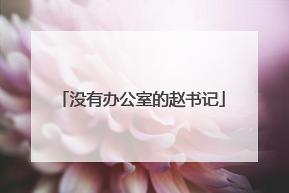 没有办公室的赵书记