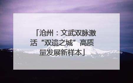 沧州：文武双脉激活“双遗之城”高质量发展新样本
