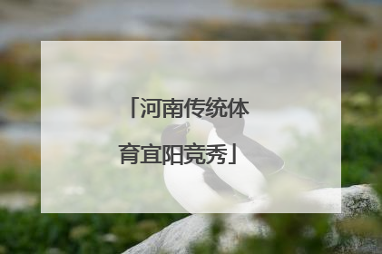河南传统体育宜阳竞秀